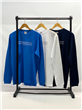 3909 - Remera Aero M/L Estampada
