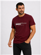 4578 - Remera Aero M/C Estampada